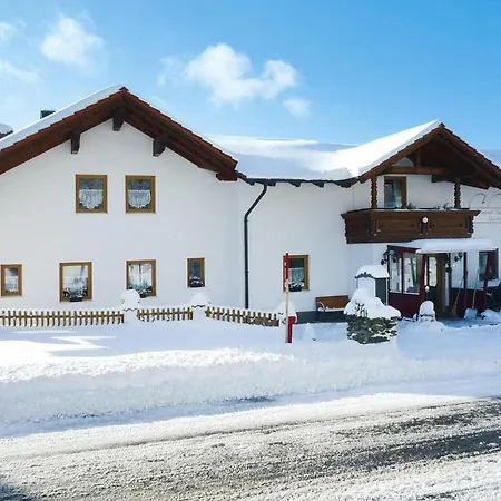 아파트 Haus Hertlein St- Englmar - Dmg04514-sya *