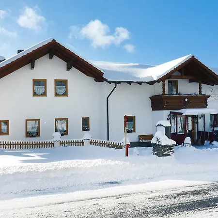 Haus Hertlein St- Englmar - Dmg04514-sya